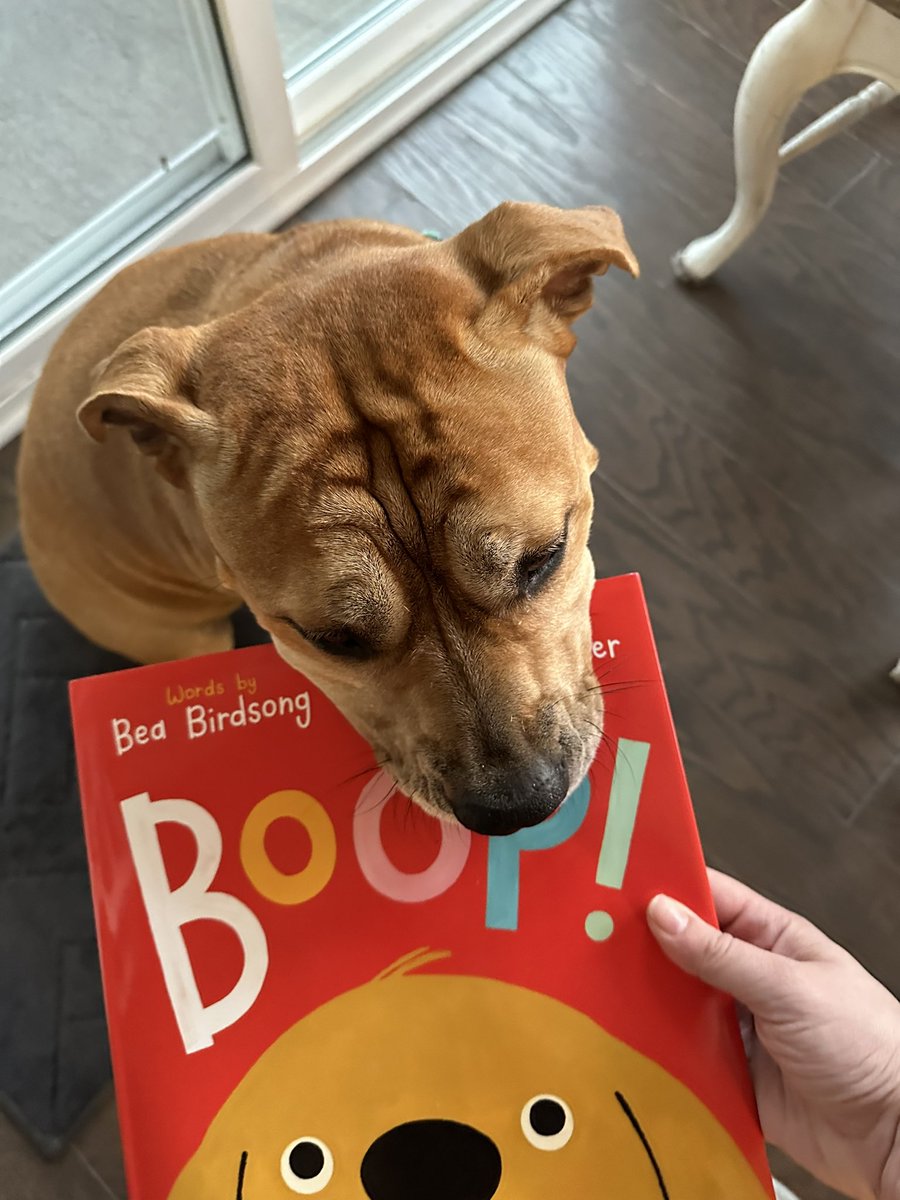 Announcing my new favorite collab with the amazing @BeaBirdsong! Yes, Tinker is biting the book. It’s because she devoured it. Cc: @MelissaLaurenE