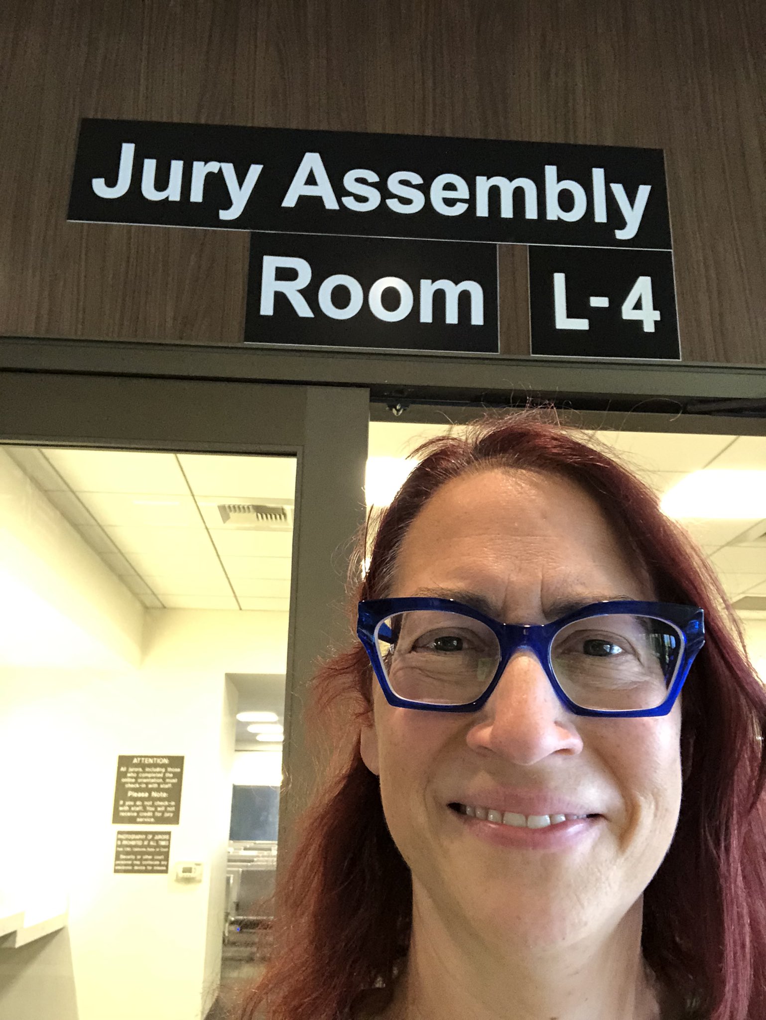 Laura friedman on twitter yes elected officials are also called to
