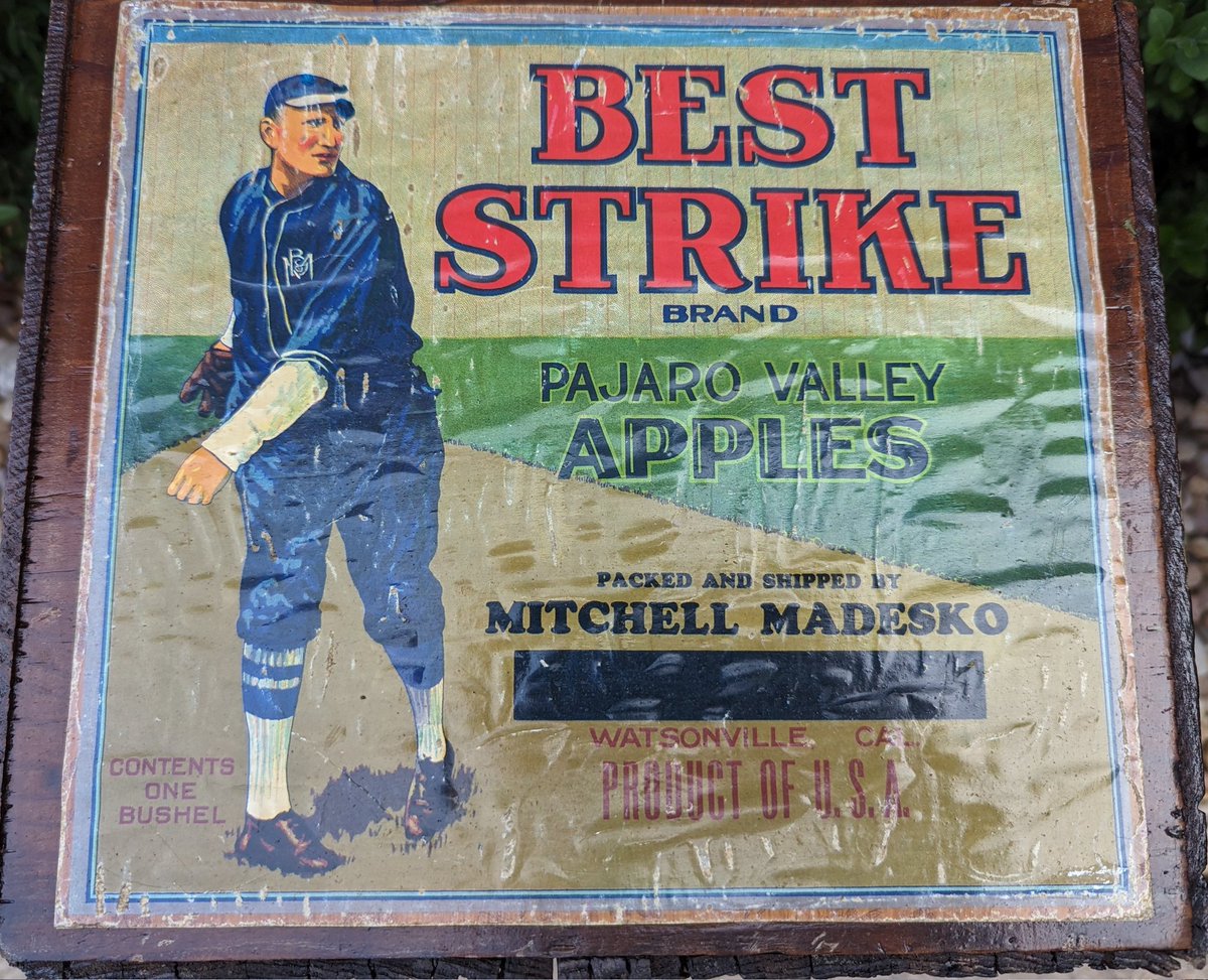 Vintage wood crates are cool. Vintage wood crates with a 1920s baseball pitcher on it are amazing!

#vintage #antique #applecrate #vintageadvertising #vintagebsseball #baseball #baseballmemorabilia