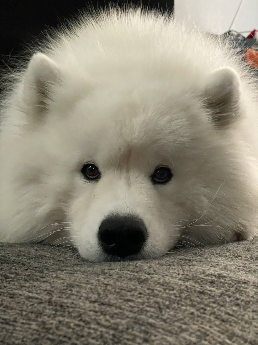 🥺