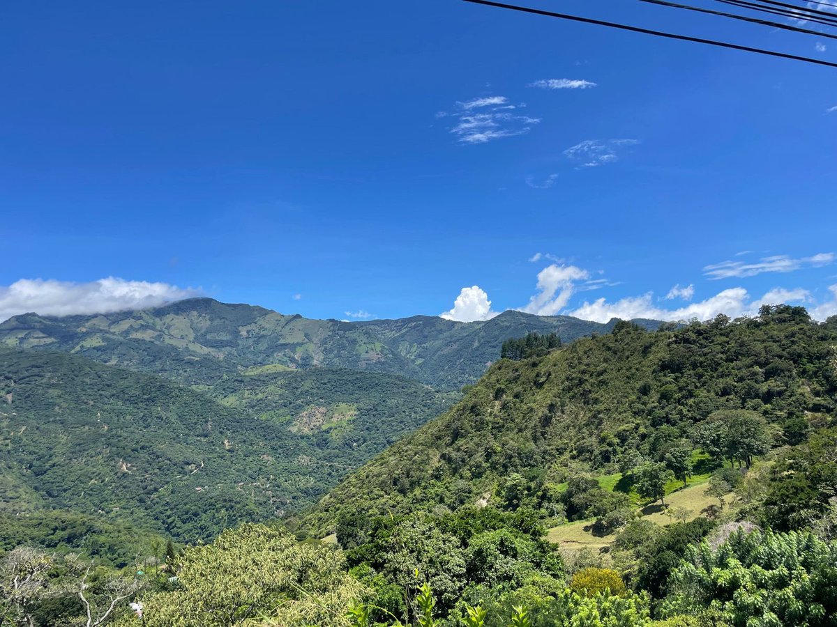 More of wild Costa Rica. These are the mountains where I was born. It’s great to be back to fill up the cup.