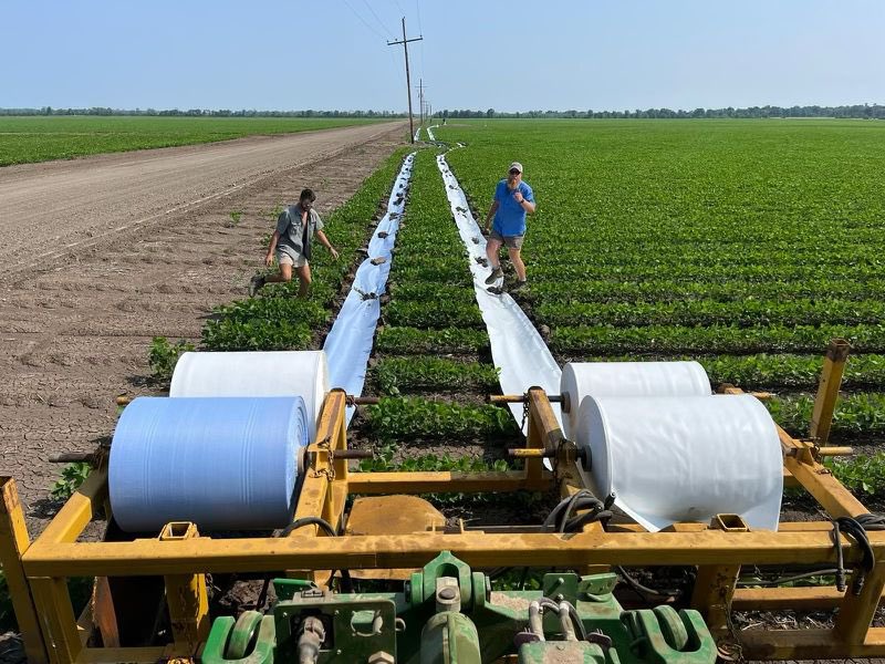 Billy Browning tweet media