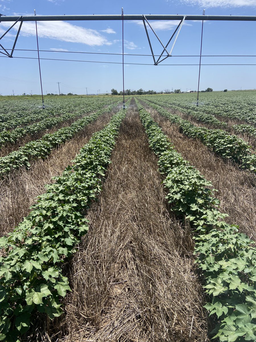 Billy Browning tweet media