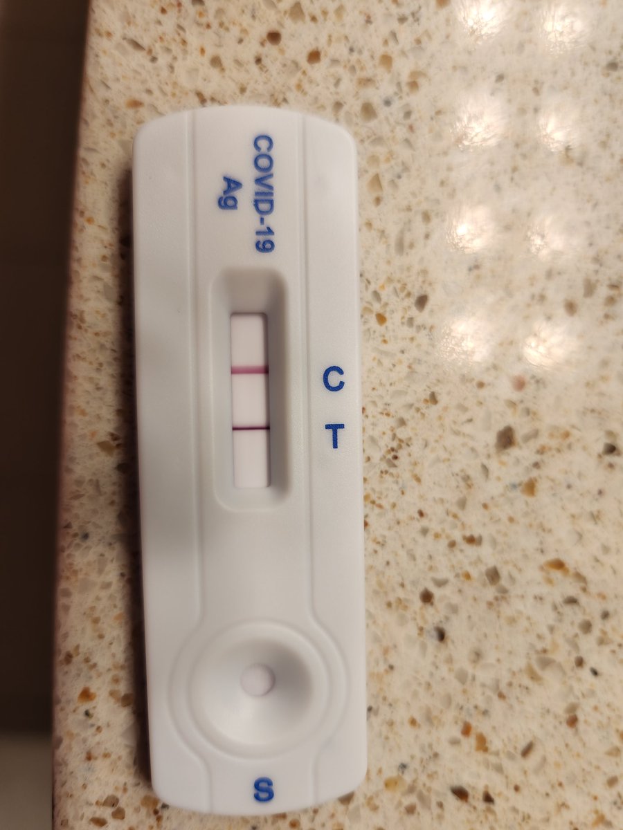 Aut Pax Aut Bellum tweet media