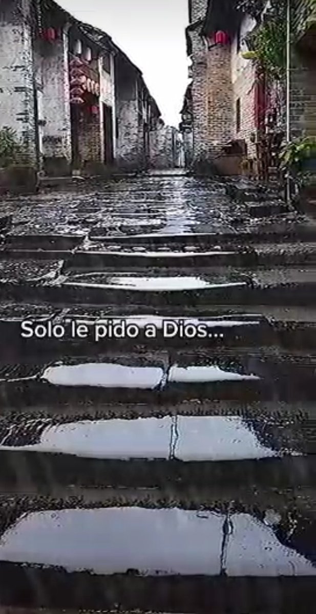 🪭🌡️💧

#GMVVEsRevolución