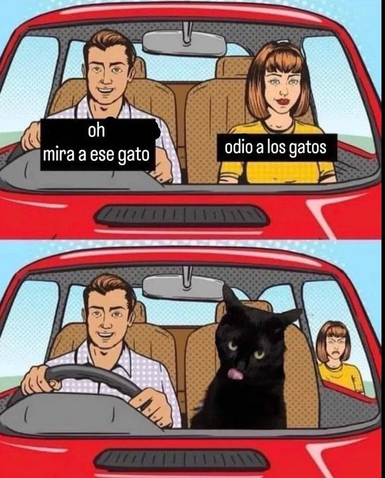 Capture Bizarre® (@capturebizarre) on Twitter photo 