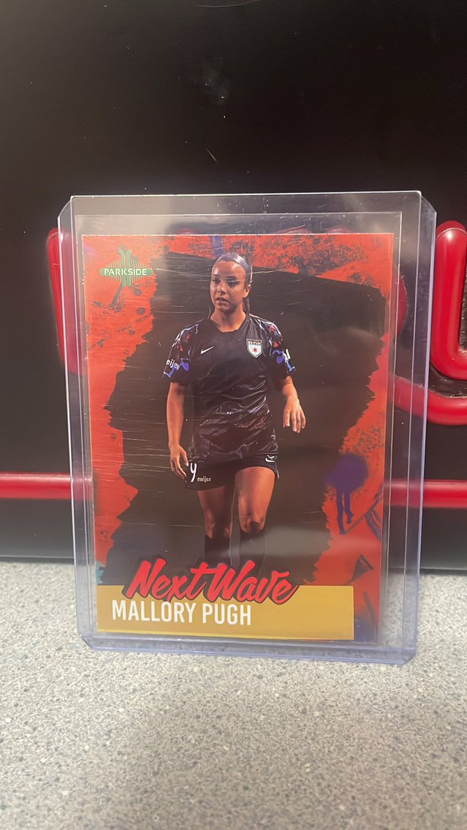 Scrappy Underdog tweet media