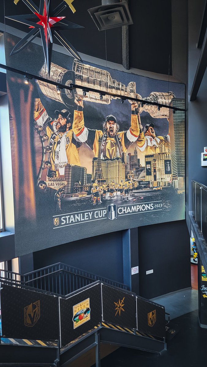 new 🎨 @ city national arena

#stanleycupchampions