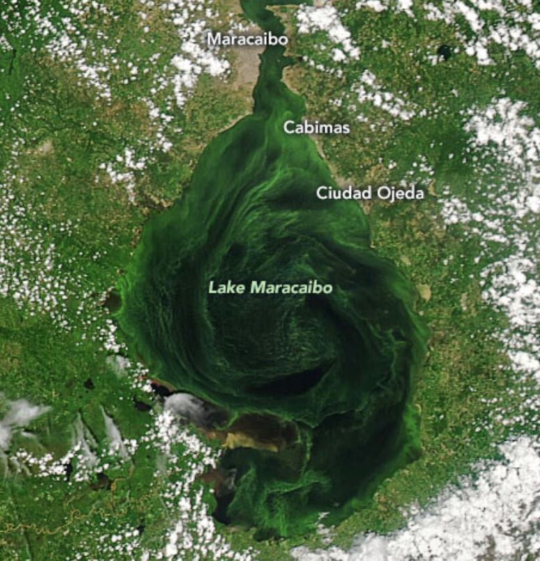 El lago de Maracaibo esta sufriendo de asfixia por los derrames petroleros, las algas, la basura pástica y las aguas servidas; fotos de la NASA han registrado el proceso de contaminación en sus 13.000 km cuadrados de extensión.
#SalvemosalLagodeMaracaibo
#LagodeMaracaibo
#Derrame