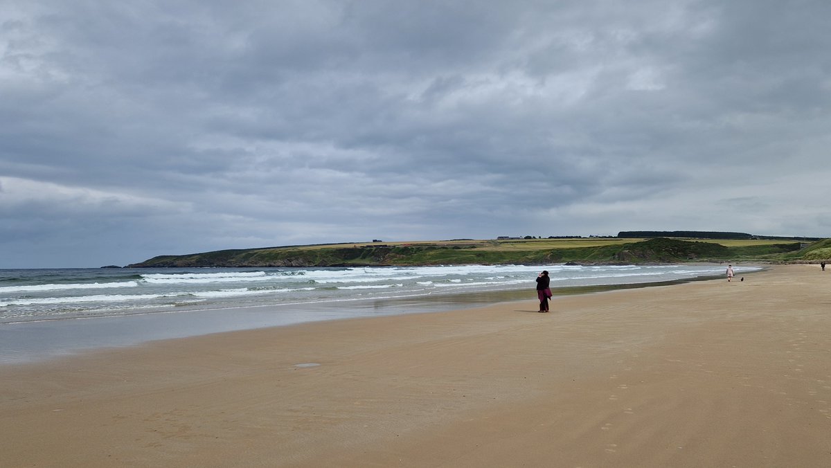 frasergj's tweet photo. Some scenes from my trip to #Sandend on the Moray Coast of Scotland today (20/7) https://t.co/qi6n9dj7wF