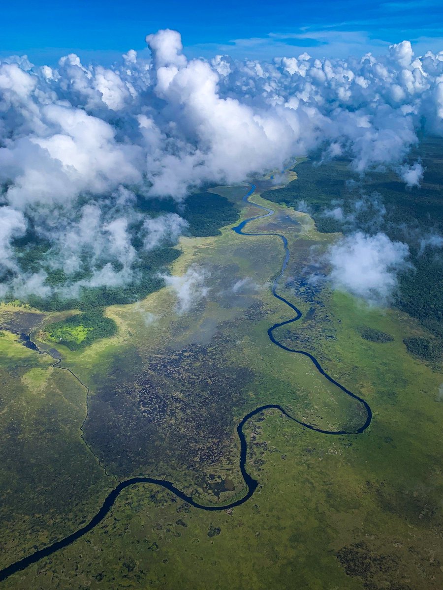 Mi Mapa de Venezuela incluye nuestro Esequibo tweet media