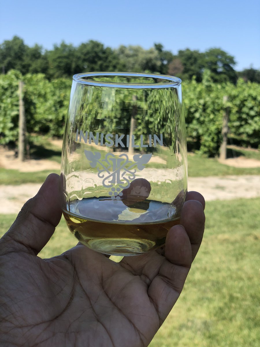 yo_jubilado's tweet photo. A su salud mis queridas y queridos amigos tuiteros. Aquรญ en el maravilloso viรฑedo de #inniskillin degustando su gran #icewine sparkling ๐ https://t.co/NmMbNHr2rK