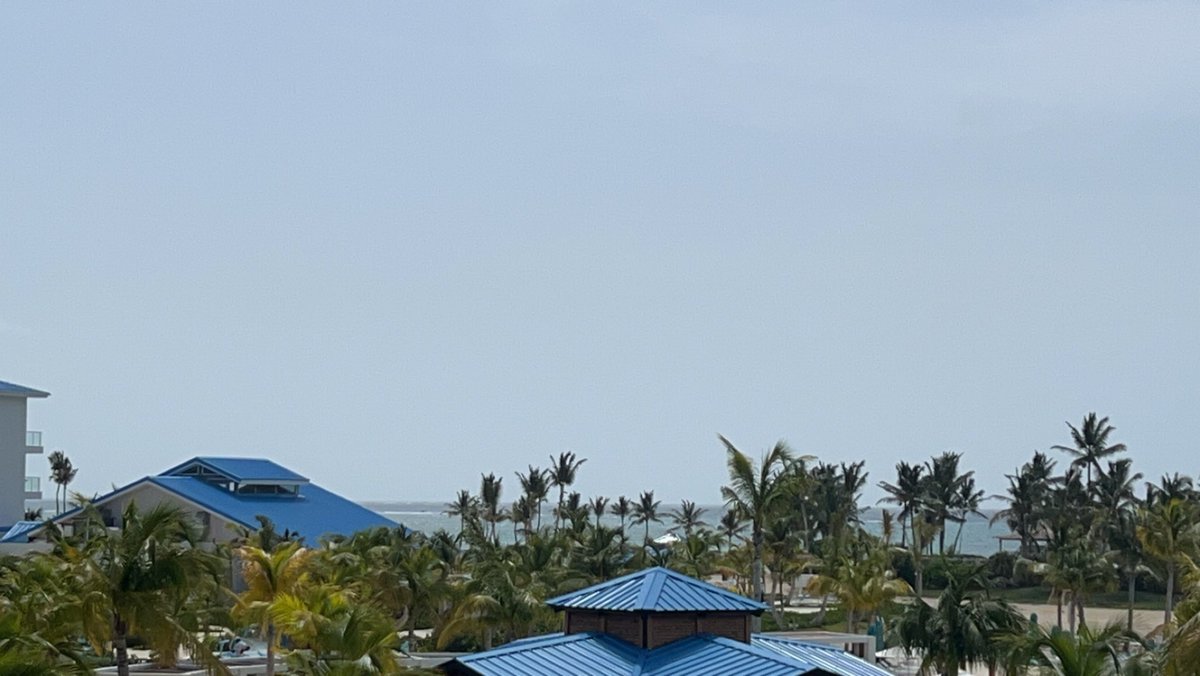 Hola desde tje República Dominicana Mustangs! 

Fall tryouts start August 7th. Don’t forget to get your physical before then!! 

See you soon!

Coach B