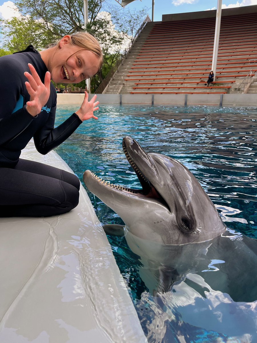 ItsMercey's tweet image. 💛💛💛