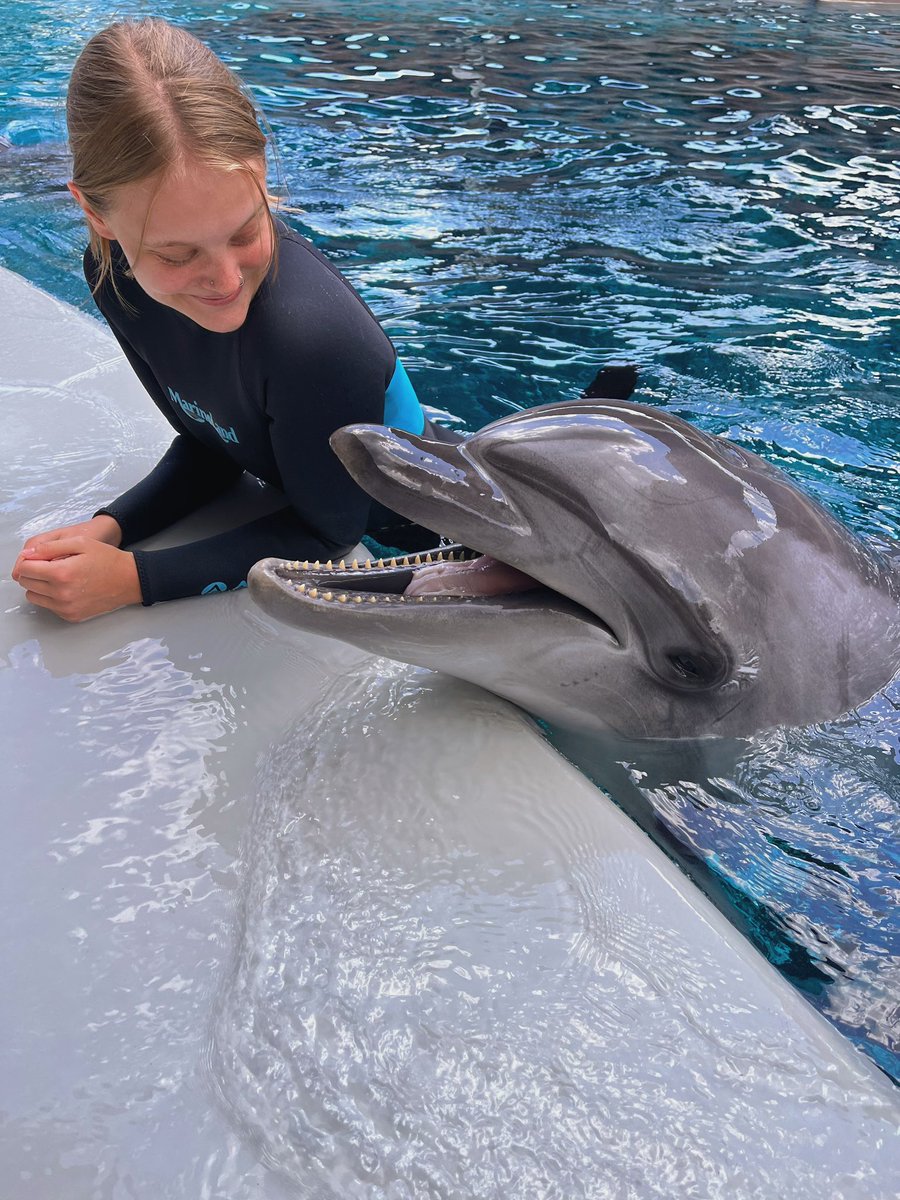 ItsMercey's tweet image. 💛💛💛