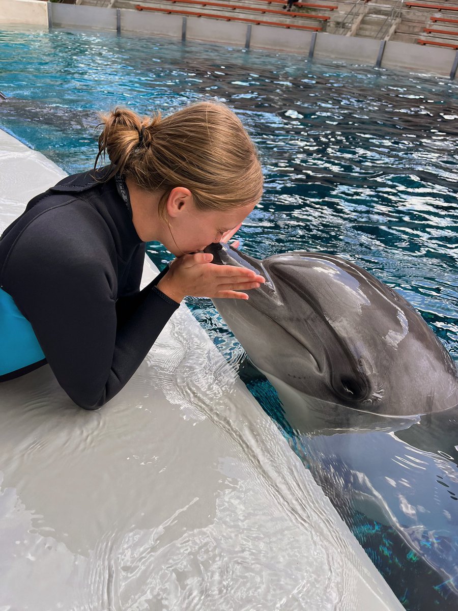 ItsMercey's tweet image. 💛💛💛