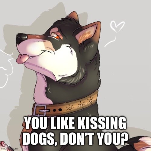 sloppy puppy kisses awrf