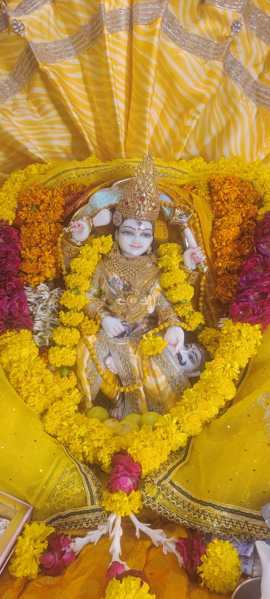 Maa BaglaMukhi Mandir tweet media