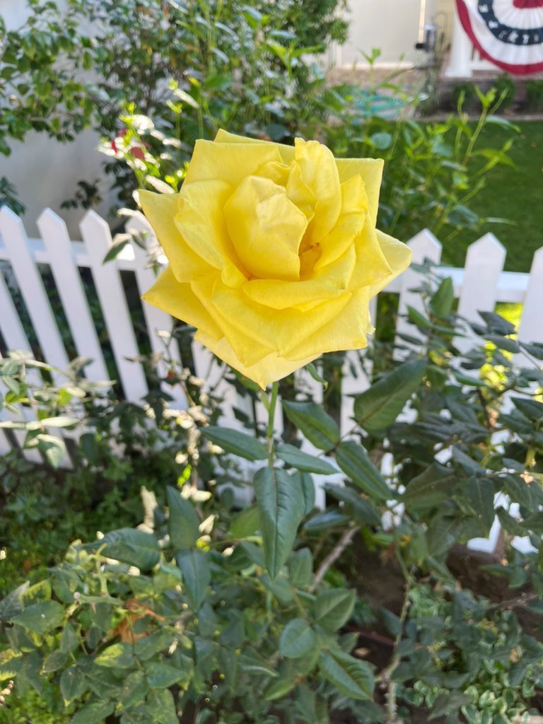 Lore Assad tweet media