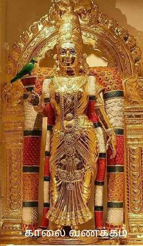 இனிய காலை வணக்கம் சொந்தங்களே!