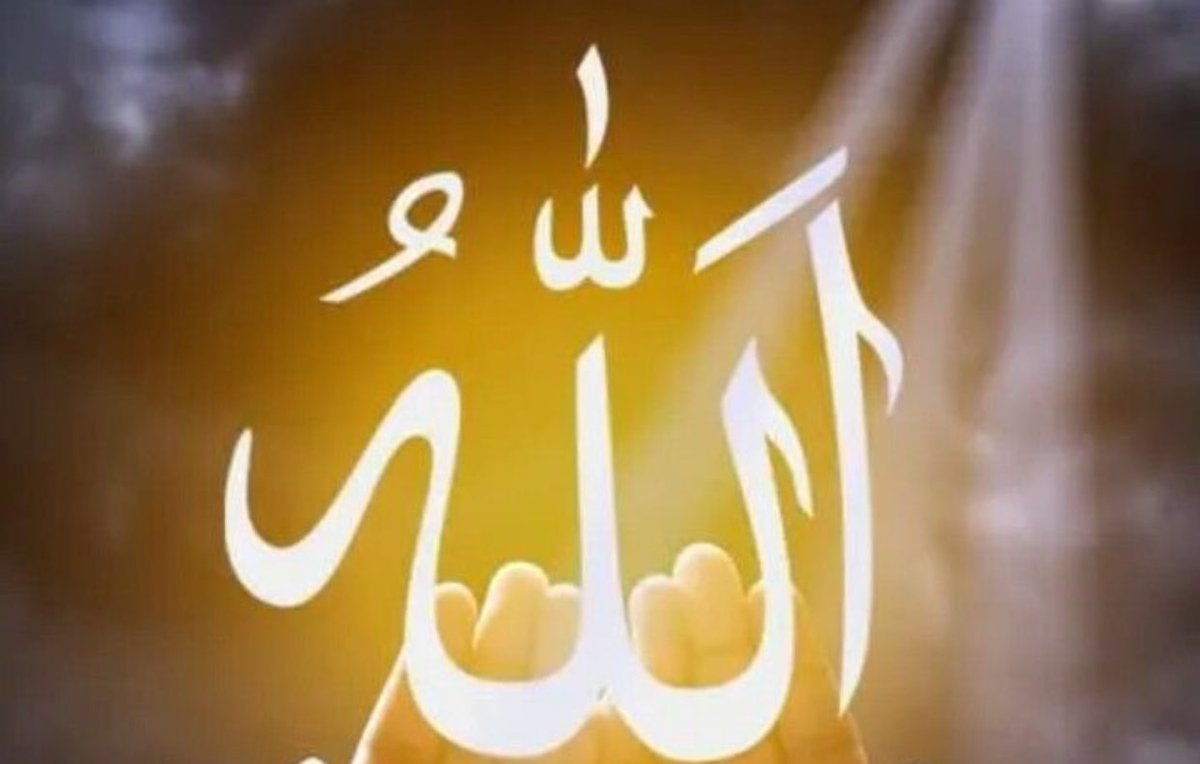 ALLAH’IM, Senin Dost Olduğun Kimse Asla Zelil Olmaz. Himaye Ettiklerinle Bizleri de Himaye Et. Verdiğin Nimetleri Bereketlendir. Şerlerden Uzak Eyle. AMİN! 💠 Hayırlı Cumalar 💠