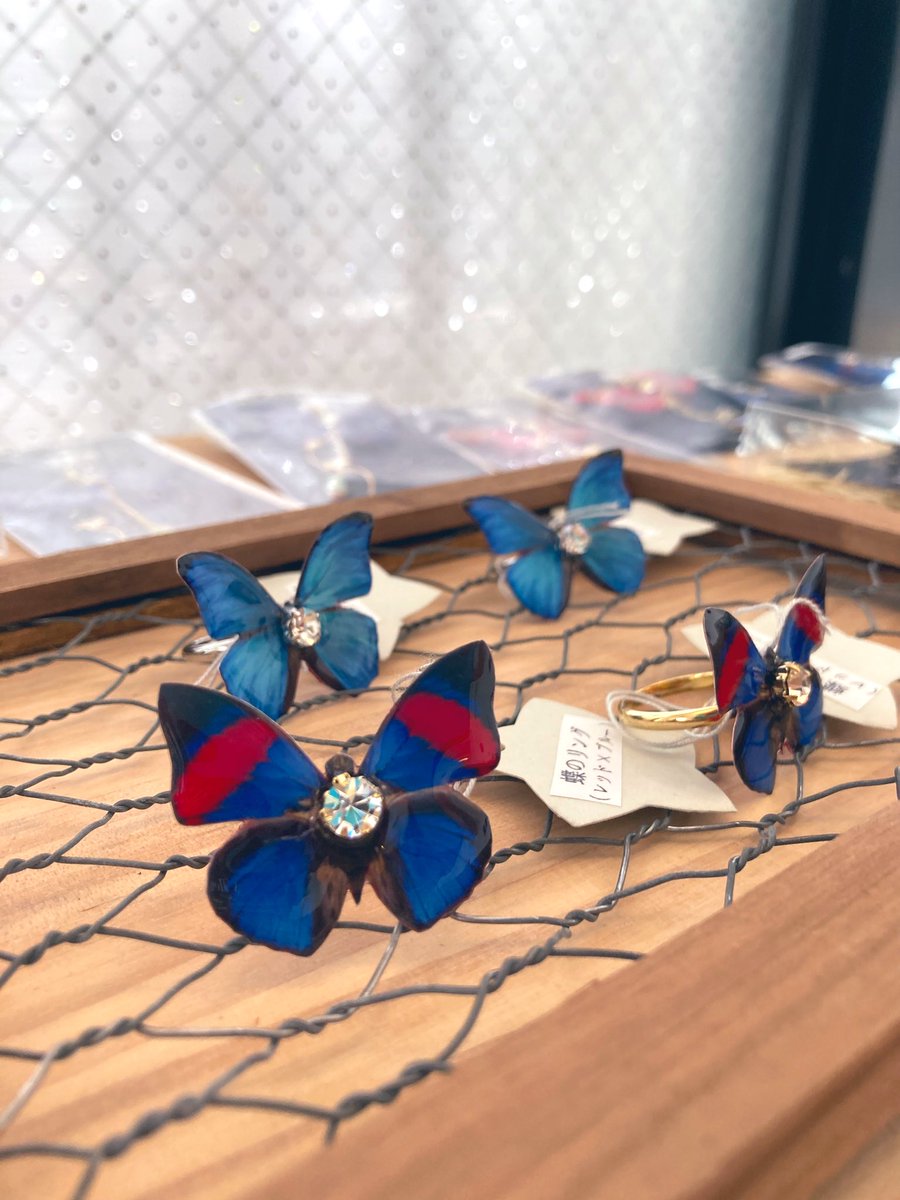 isshikishoten's tweet photo. おはだるまーー！！

 #えならぬてふてふ展 2日目スタートです🦋 𓂃𓈒𓏸

今日も会場は蝶がひらひら舞っております♪

後程作家さまと作品紹介を改めてする予定です！
お楽しみに✨ https://t.co/mdk7CKctbk