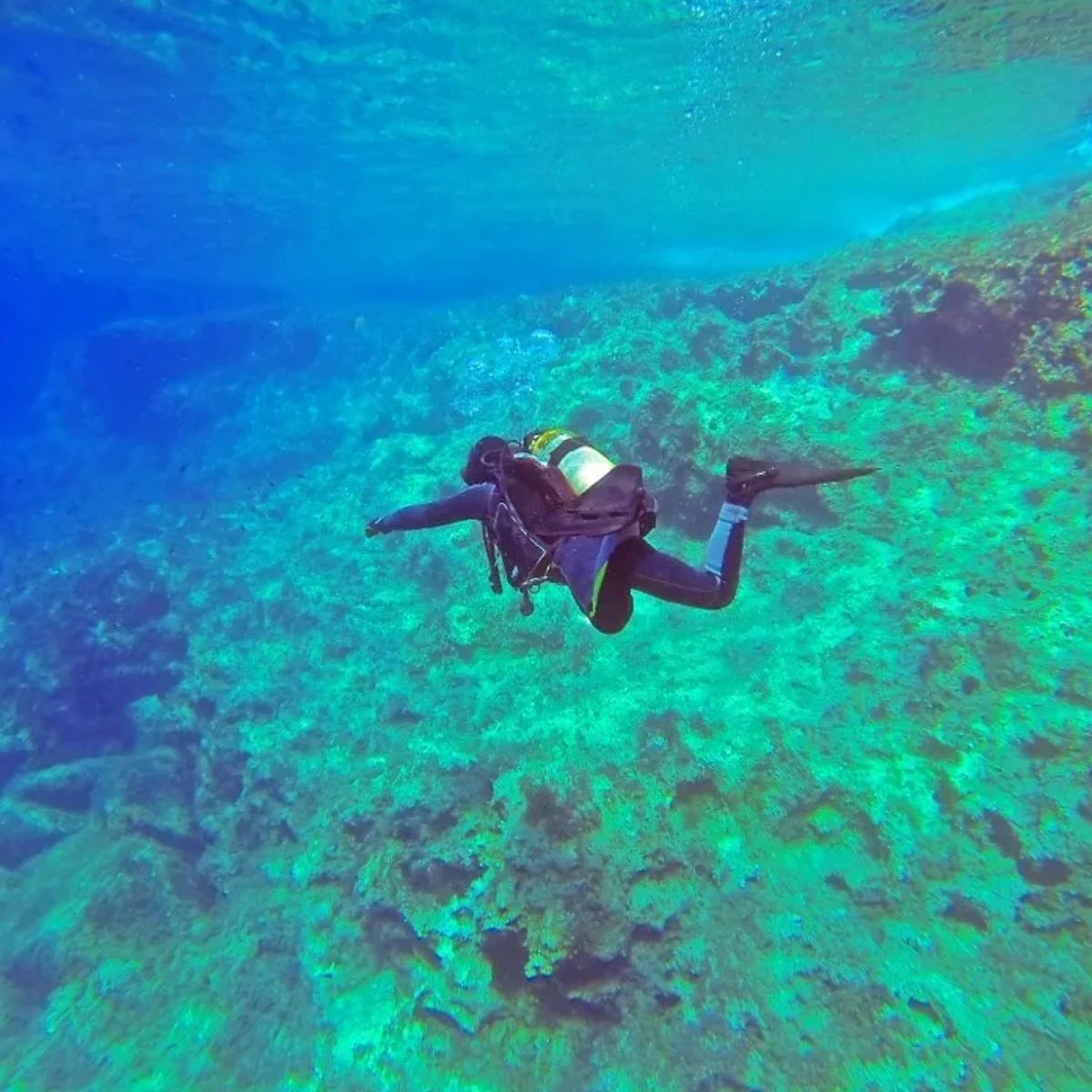 SCUBARaleigh's tweet photo. Discover the magic of the underwater world with our scuba instruction! From classes to diving trips, we have everything you need to make a splash. https://t.co/hWvuzCksCp