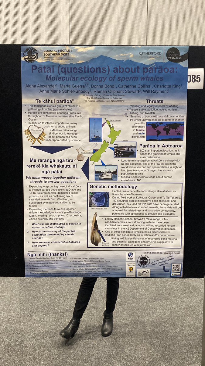 Weaving mātauranga (Indigenous knowledge) with scientific discovery can enhance both! Poster 85 by @laninsky shows us how. #ICG2023