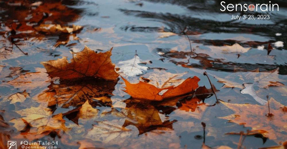 penmancy's tweet image. Manoshi Bose shares her story ‘Rain Requiem’ for #QuinTale-54. 

Please read and share yours for this #writingprompt.

Read the story here: penmancy.com/rain-requiem/

#writingcommunity #writing #flashfiction #amwriting #contestalert