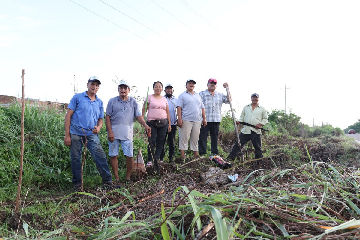 Raul_PaulinH's tweet photo. En Oaxaca, el pasado fin de semana bajo el lema #YoSiembroMiFuturo salieron a reforestar espacios públicos. Un millón de plantas más los 100 millones que ya están en sus parcelas. #Reforestación #Cohesión Social #JuntosCosechamosVida https://t.co/6boTfm8P4z
