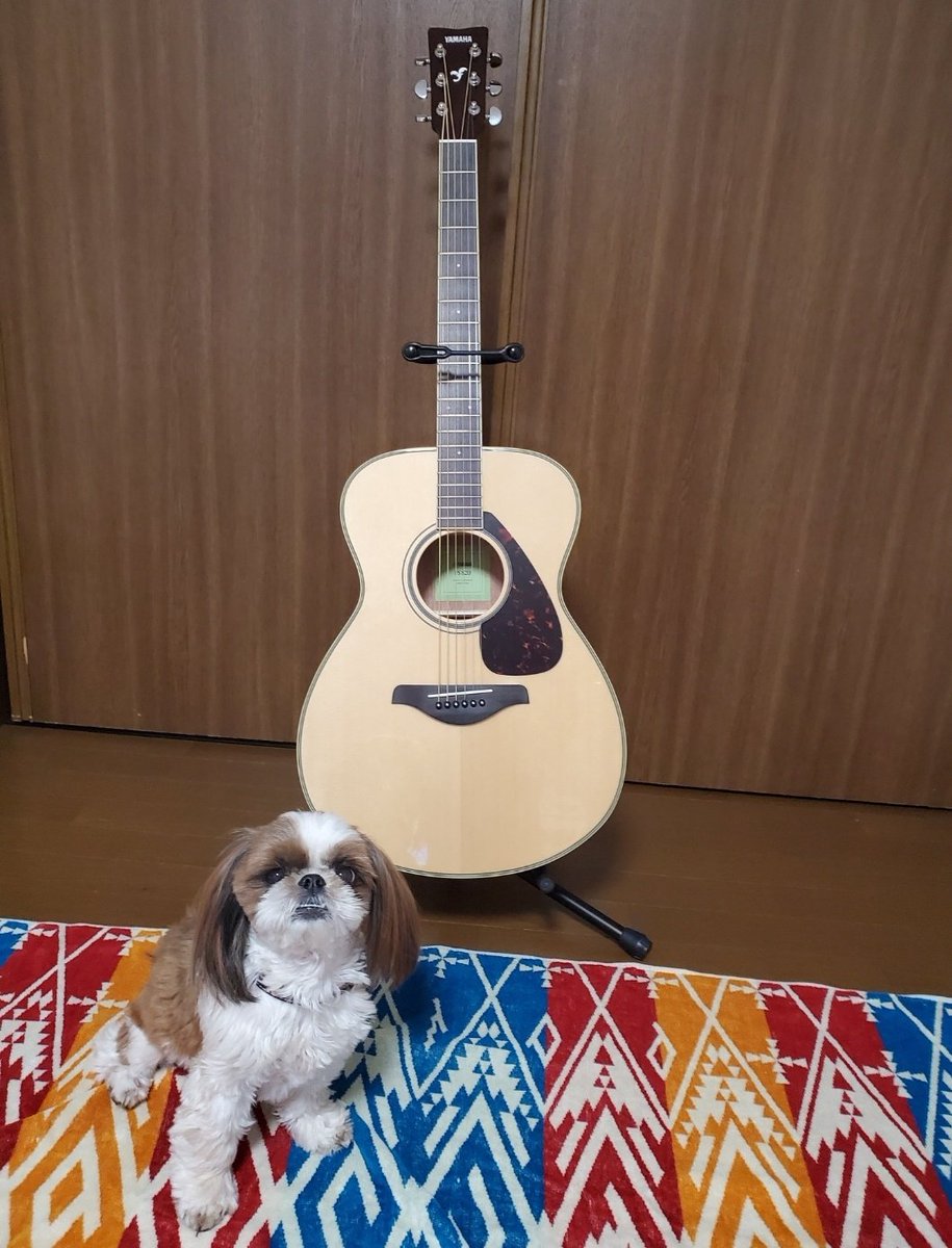 tomoko5973's tweet photo. お洒落ではない写真ですがw
弾けるようになるのかな…(*・ω・)
三年半前に不安と期待を抱いて始めて手にしたのはYAMAHAのFS820でした。
コードも押さえられない時から共に日々歩んでくれた今も大切な一本です(*^^*)
とても弾きやすい良い子です💮
#FS820
#あつまれヤマハアコギ祭り https://t.co/9LXnTTKSCV
