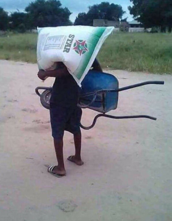 What my code looks like to real programmers