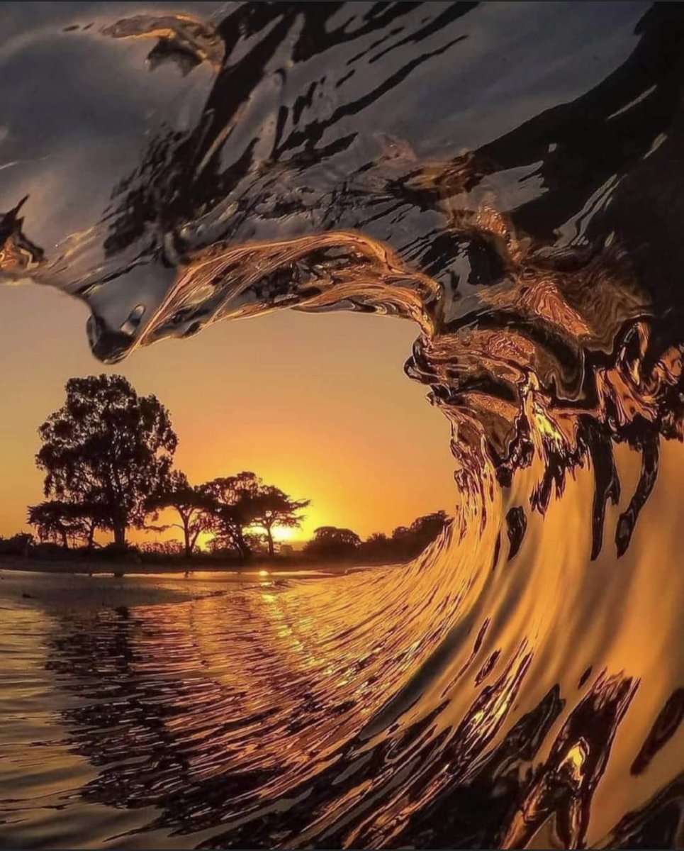 Riding through the wave…

#naturelover #theplanetearth