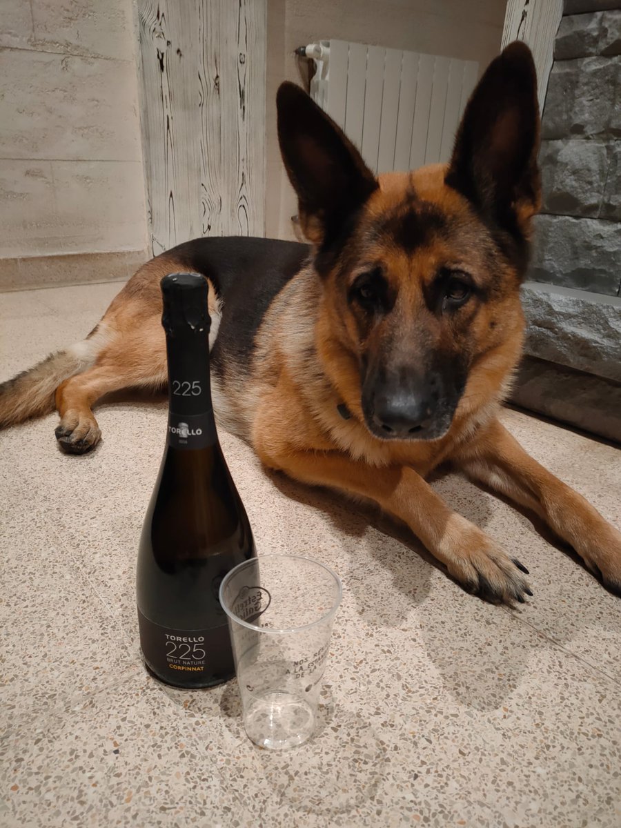 CarlesRaurich's tweet photo. @maticatradio #MatíEstiuCatRàdio . La vodka celebrant el seu "dia mundial" i els primers 40anys de @CatalunyaRadio https://t.co/riCvWr8FjU