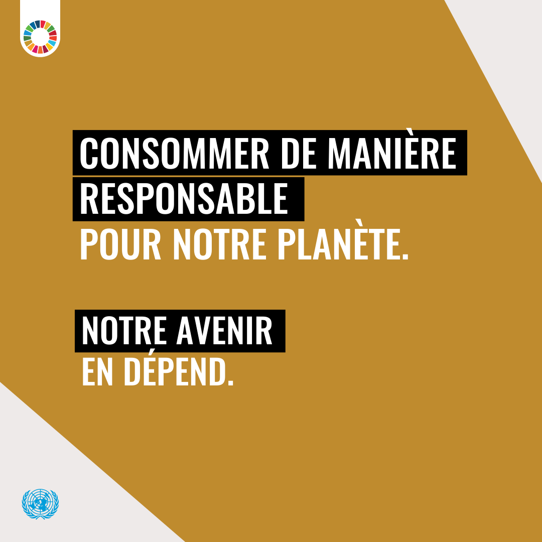 UNEP_Francais's tweet image. Les modes de consommation et de production non durables sont parmi les causes profondes de la triple crise planétaire du #ChangementClimatique, de la perte de biodiversité et de la pollution.
#Agissons pour la planète et atteindre les #ObjectifsMondiaux : un.org/fr/actnow