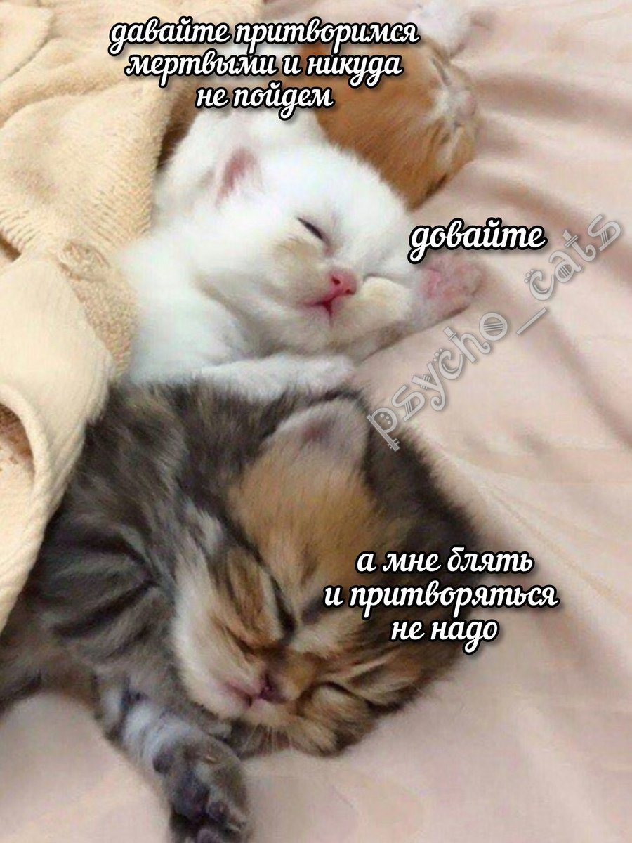 некоторых интересует: как же мы уживаемся втроем? мы все такие разные.

вот так.