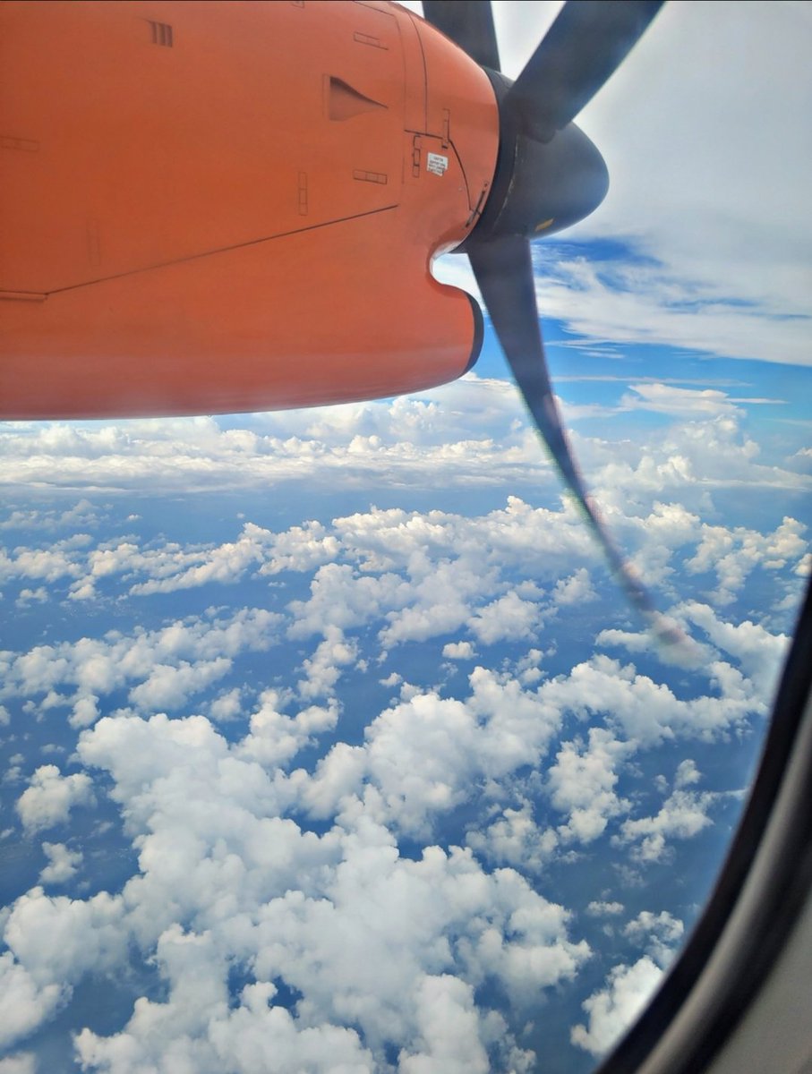 Daniel Regha tweet media