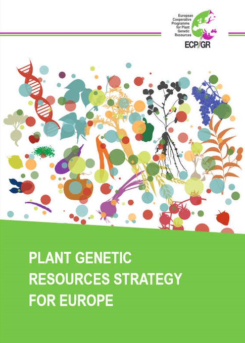 CzemborH's tweet photo. 🧬🧩🔬👨🎓📤💚🌾🧑🌾👍📈🍞
RT: #ECPGR @ECPGR
👨🎓Dr Theo van Hintum: All the targets outlined in the Plant Genetic Resources Strategy for Europe are achievable 📤
➡️ #PGR Strategy https://t.co/YMDoUCX13f
#GenresBridge #genebank #biodiversity #geneticresources #EUGreenDeal
#FoodSecurity https://t.co/6yViPQZcmC