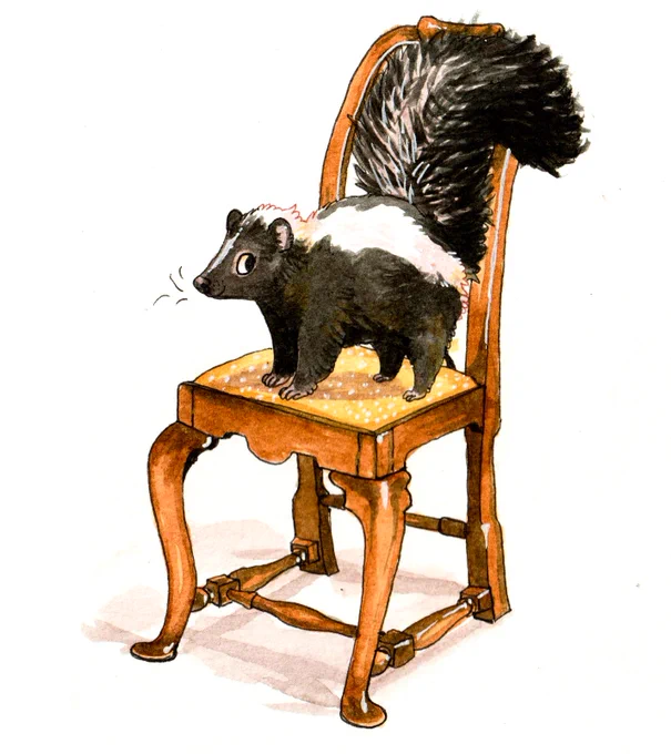 skunk on a chair