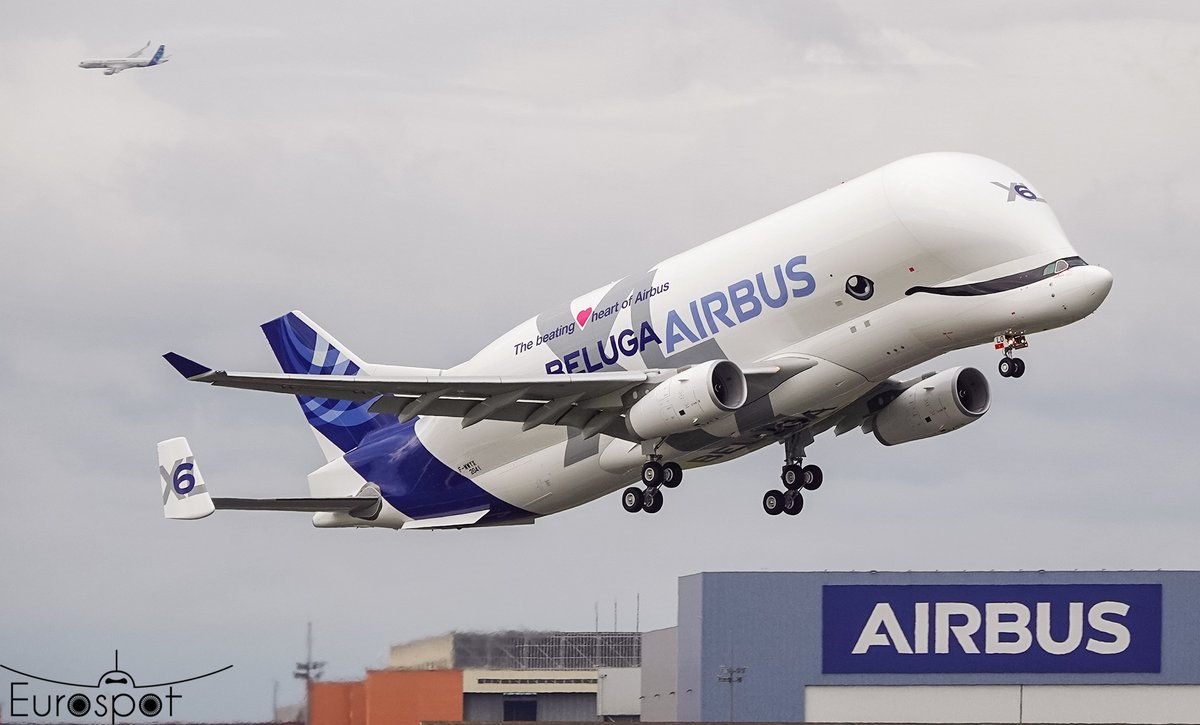 cliper31's tweet image. Beluga XL6 departing for 1st flight today at Toulouse #Airbus #Beluga #BelugaXL #avgeeks #aviation #planespotting @TLSWatch @aircommunityFR @airplusnews @mtrunz