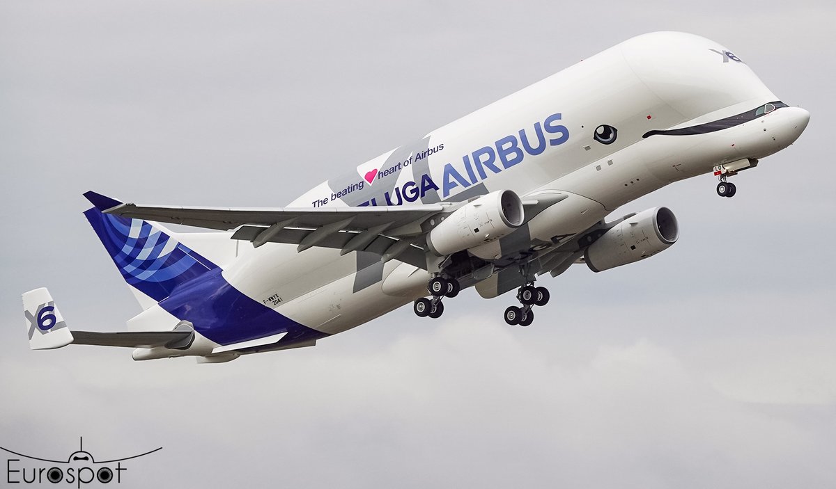 cliper31's tweet image. Beluga XL6 departing for 1st flight today at Toulouse #Airbus #Beluga #BelugaXL #avgeeks #aviation #planespotting @TLSWatch @aircommunityFR @airplusnews @mtrunz