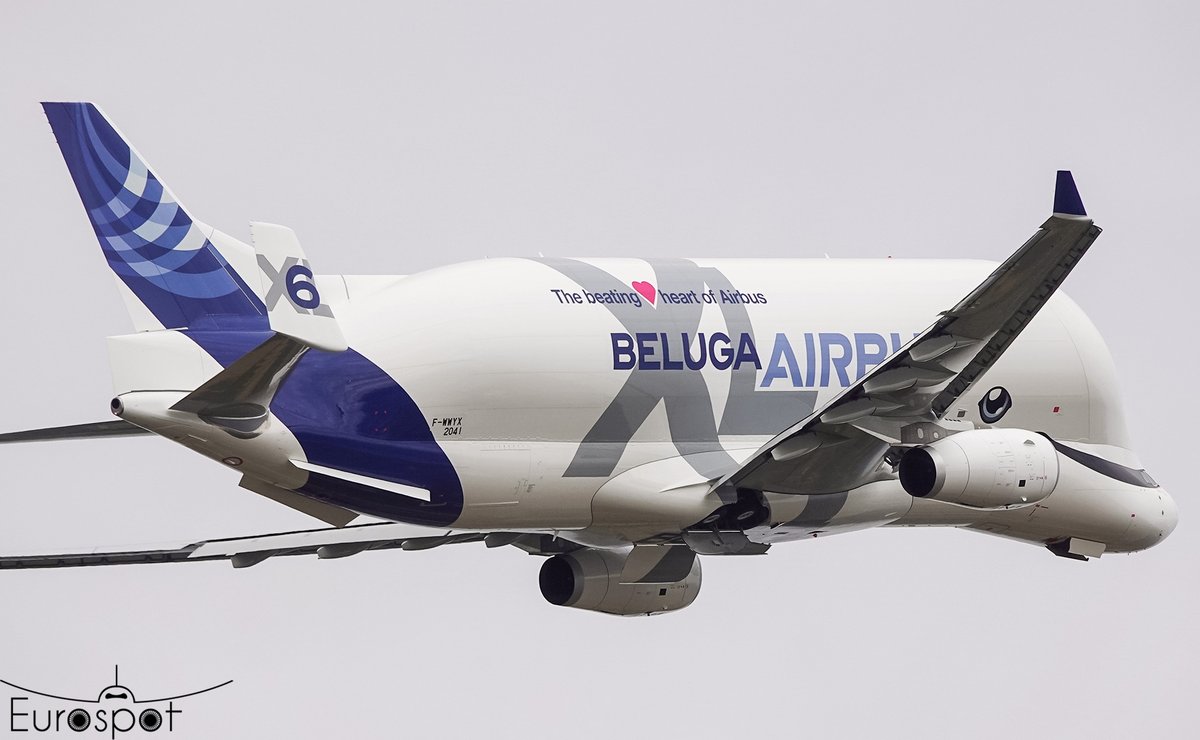 cliper31's tweet image. Beluga XL6 departing for 1st flight today at Toulouse #Airbus #Beluga #BelugaXL #avgeeks #aviation #planespotting @TLSWatch @aircommunityFR @airplusnews @mtrunz