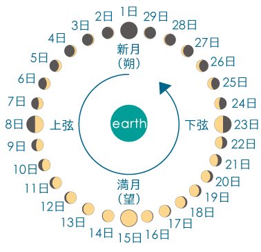 cure378's tweet photo. よく畑仕事をされている方が来られるんですけど、土に触れること以上に人の概念を壊し感覚と身体を育てる行為は無いのかもと。畑仕事と身体操作についての話で盛り上がりまくりました。「土の上に立つと本当に自分に負担のない身体の使い方が分かる」「重力を利用してストレッチが出来る」→ https://t.co/kHovAI4e0n
