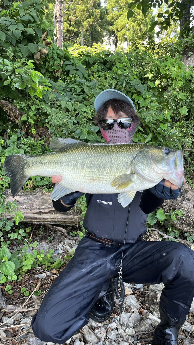 ysknplus's tweet photo. カバスキャ3.5でやっとまともに釣れた🥺
久しぶりの琵琶湖ウェーディングにて
50up🔥🔥 https://t.co/J3iV9IUERt