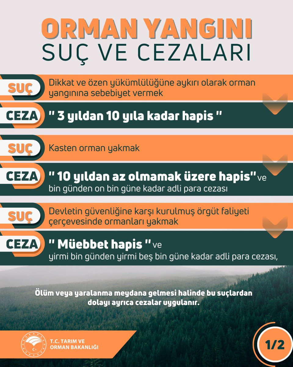 ibrahimyumakli's tweet photo. Son 10 günde 40 ilimizde 203 orman yangını meydana geldi.

Her orman yangınında sadece ağaçlar yanmıyor, tüm ekosistem de yok oluyor.

Bu suça sebep olmayalım, yeşil vatanımızı hep birlikte koruyalım.

Orman yangınına sebep olanlar için önemli yaptırımlar olduğunu unutmayalım… https://t.co/M2oB5WhvaR