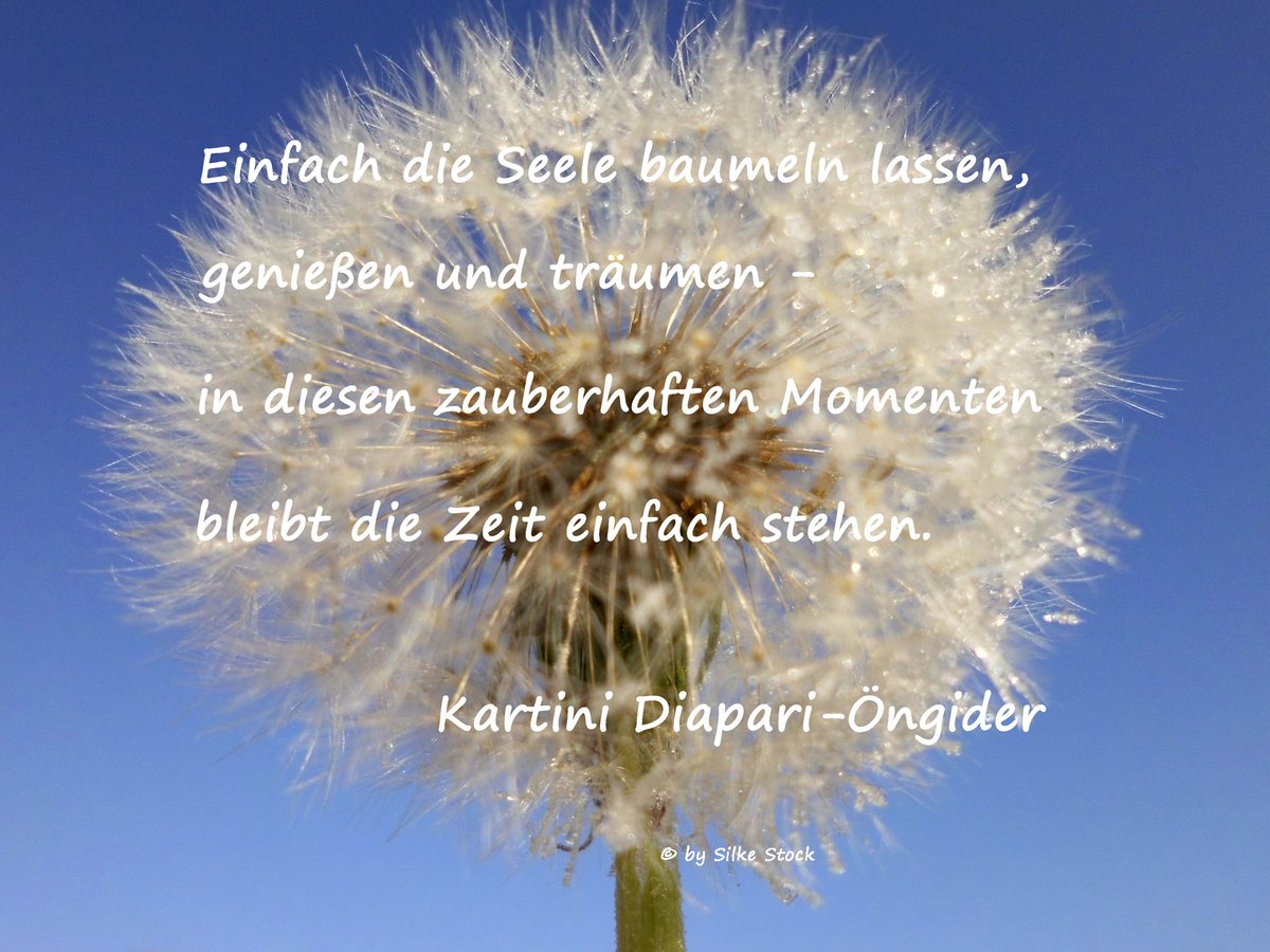 Frische Grüße aus dem Harz & vielen Dank für`s Folgen @saunazeit @RadioKueken @losinBBb @birgitbea @autorin24sandra @neudessau @BiggiPommerin @thalaberatung @perushop @kleidergroessen Happy #FF