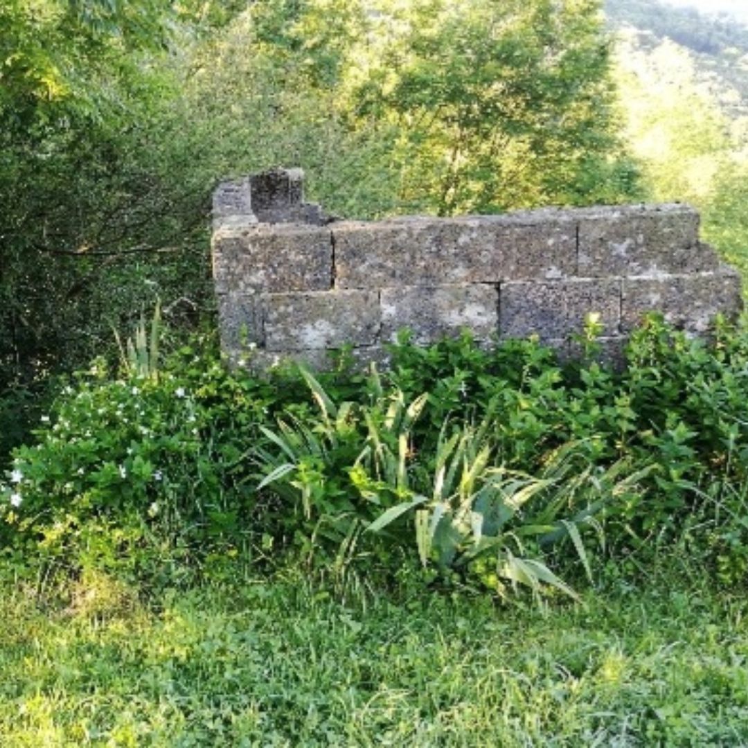 InvasoRamales's tweet image. #tradescantiafluminensis Introducida en España y en casi todos los países del mundo como planta ornamental. Actualmente es muy popular en jardinería de interior. #ramalesnatural #biodiversidad #invasoras

invasorasenramales.wordpress.com/2016/12/16/tra…