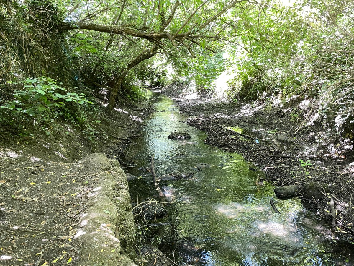 Interested in enhancing the Yeading Brook West? <a href="/harrow_council/">London Borough of Harrow</a> is recruiting a Nature Recovery Ranger for the 'Yeading Brook Unbound' Project. Details here: bit.ly/3OmkAsP  #job <a href="/FoHMRG/">FoHMRG</a> @YeadingWalk <a href="/HarrowNCF/">Harrow NCF</a> <a href="/HarrowParks/">Harrow Parks</a> <a href="/harrowonline/">Harrow Online</a> <a href="/FriendsRivCrane/">FORCE</a> <a href="/habsandheritage/">Habitats & Heritage</a>