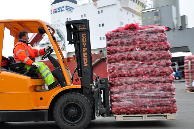 Pomme de terre : exporter sans CIPC
La moitié des pommes de terre produites en France est exportée.vegetable.fr/pomme-de-terre…