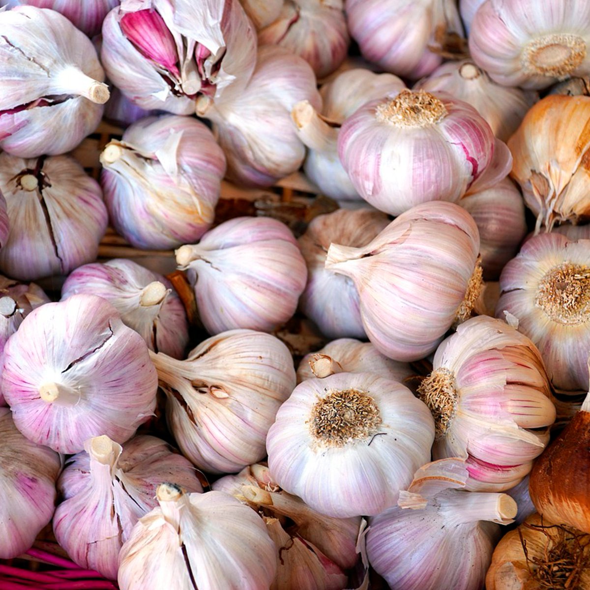 🧄El 25 de julio se celebra el día de Santiago con su tradicional Mercado de los Ajos. Este año a primera hora de la mañana, las calles San Francisco y Olaguibel se inundan de puestos de ristras de ajos.  ¡Anímate y visita este mercado! 

#tradicion #Santiago #consumelocalmente